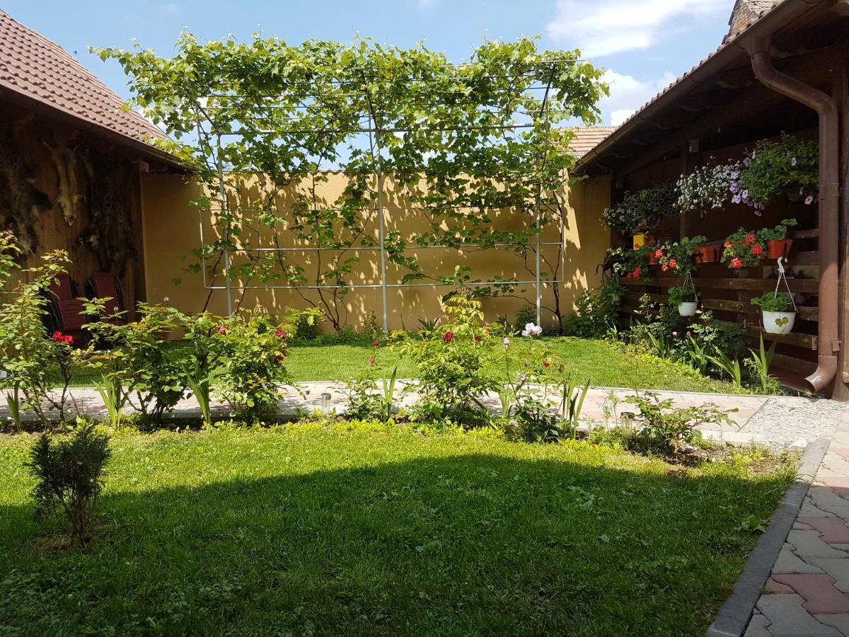 Casa Ovesia Vila Săcele Exterior foto